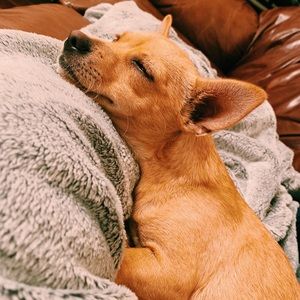 Meet your Posher, Brianna